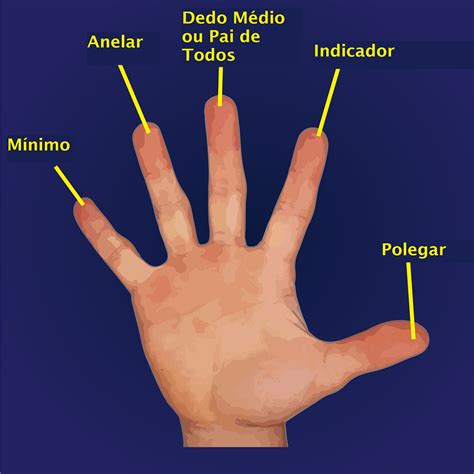 nome dos dedos da mão